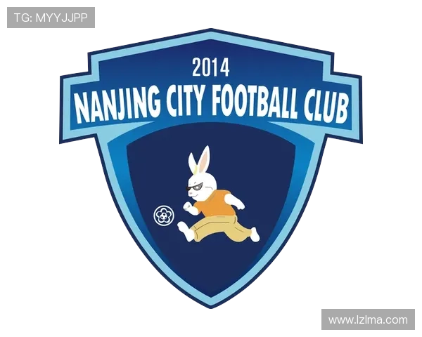 南京足球队意识探讨与发展路径分析助力球队崛起与城市足球文化建设